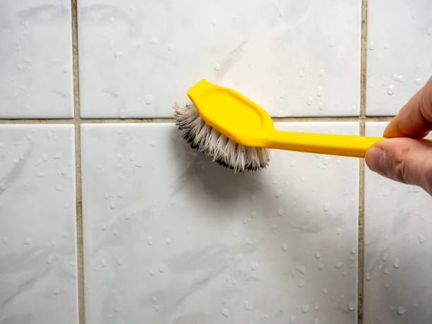 Best Residential Mold Remediation in Springs, NY