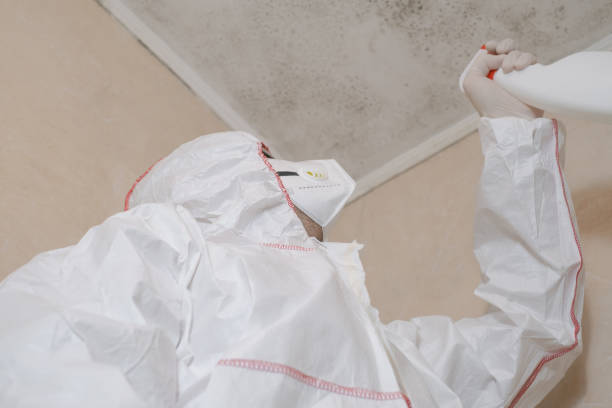 Best Residential Mold Remediation in Springs, NY